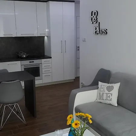 Apartment Apartament Love Karpacz